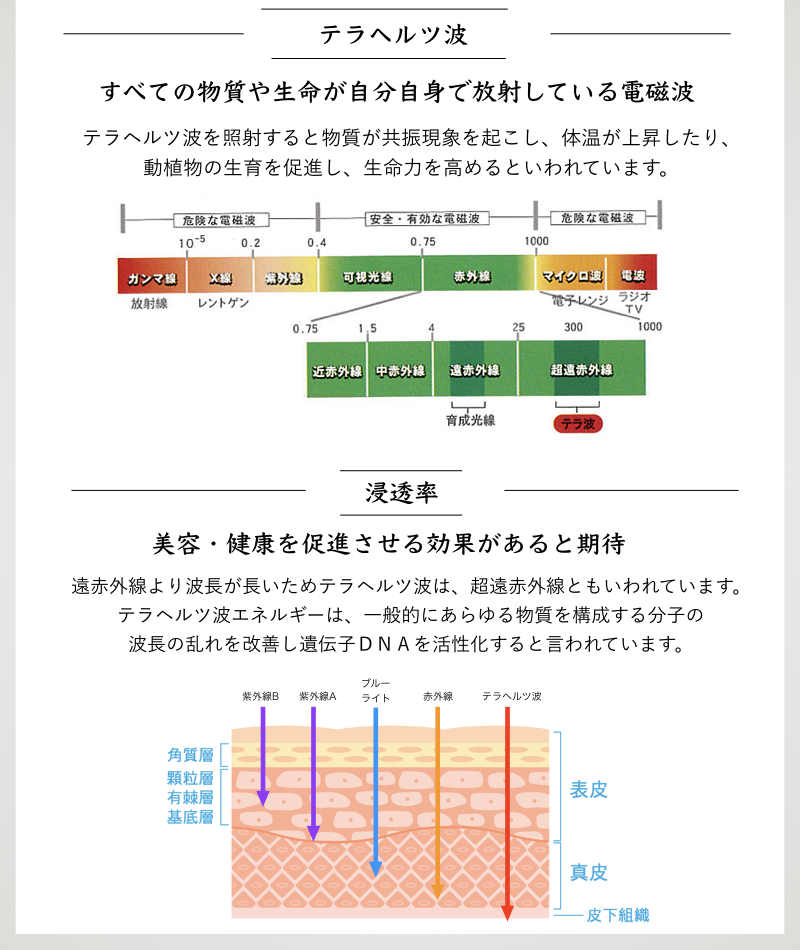 テラビューティー卸/TERA AGENT